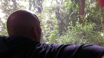Ce débile pense parler avec les singes en hurlant par la fenêtre..