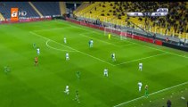 Janssen V. Goal HD - Fenerbahcet2-0tAdana Demirspor 29.11.2017