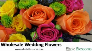 Wholesale Wedding Flowers - www.wholeblossoms.com