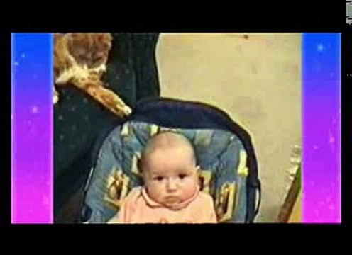 Animals like to move it move it