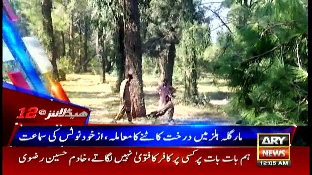 Headlines 0000 30th November 2017