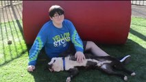 Three-Legged Dog Adopted by Boy Who Lost a Leg to Cancer