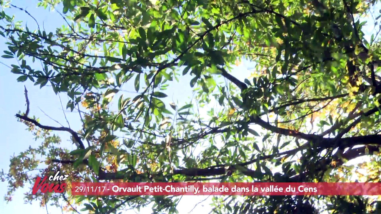 Chez vous dans le quartier du Petit Chantilly à...