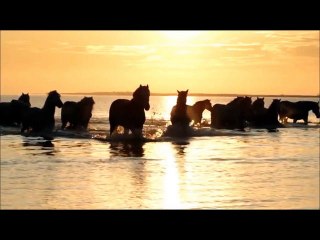 VIDEO SOLO IMPRO LOSHUERTOS