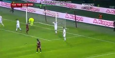 Belotti  Goal HD - Torino 2-0 Carpi 29.11.2017