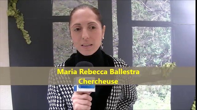 Bastia : Le desert des Agriates en expo au musée