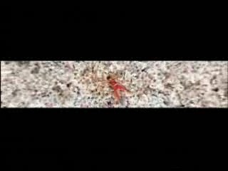 Superbus - Travel The World