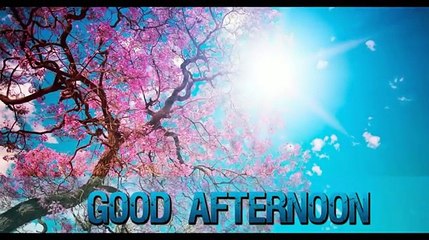 Bright Good Afternoon Beautiful-Greetings-Best-Wishes-Wallpaper-Whatsaap Video