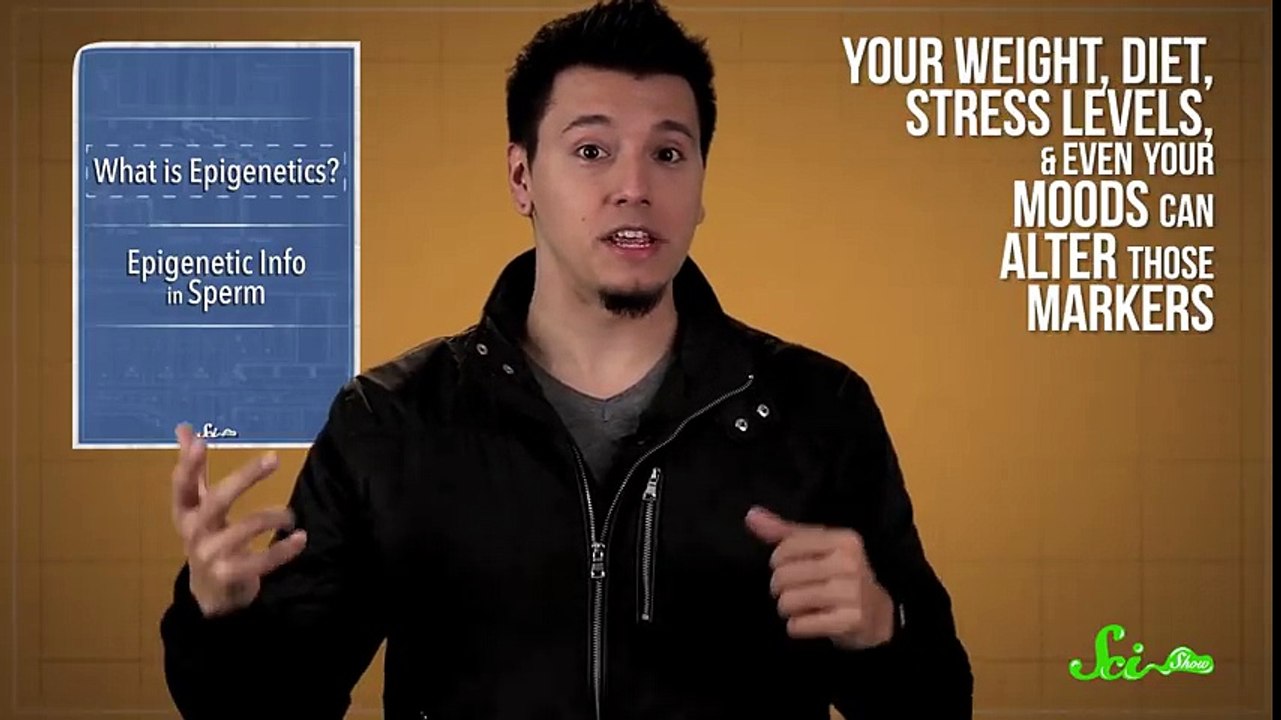 How Health Affects Sperm Scishow