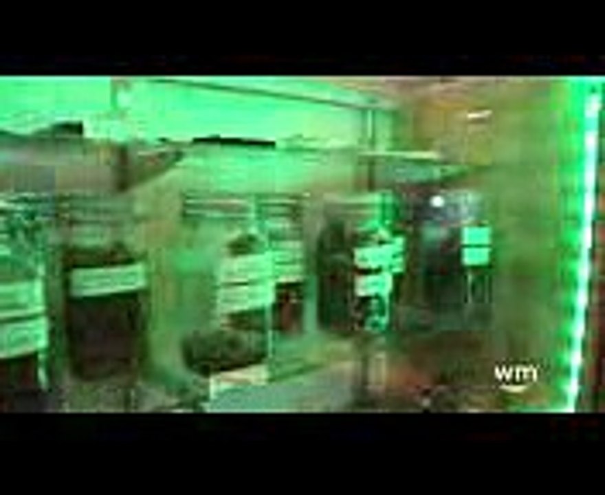 Going Green West Coast - Toledo, Oregon Dispensary Tour