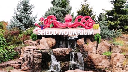 We Followed A Marine Animal Trainer For A Day