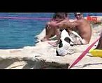 Diving Dog Pet Jack Russell ‘Titti’ Jumps From Rocks With Her Owner