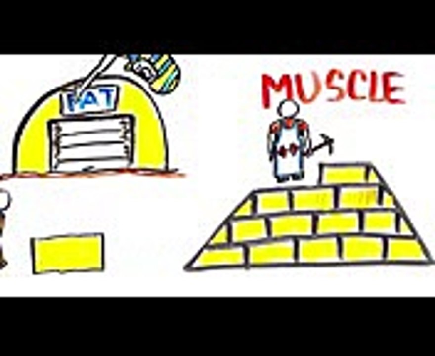 What is Bulking Will It Make You Gain Muscle