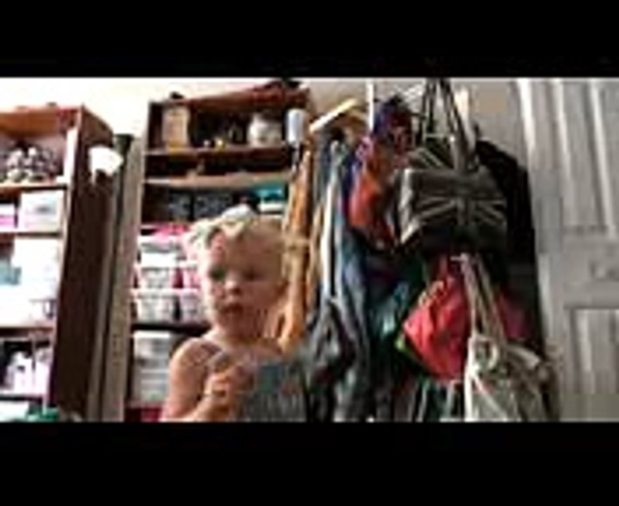 Cat Owner Life VS Dog Owner Life