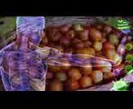 రేగిపండు అద్భుత లాభాలు తెలిస్తే జన్మలో వదలరు..! Regipandu (Berry) Health Tips  Natural Health Care