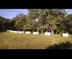 Beekeeping Trip-n-Bees California Splits