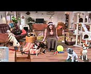 THE LOVING PET OWNER FITNESS  The Checkout