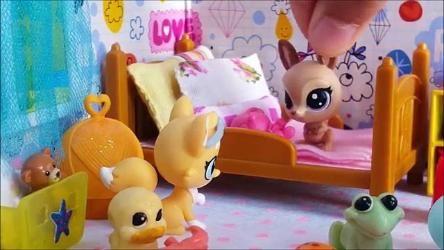Minişler: Misafirlikte Şanslı Bir Gün :･ﾟ✧ | LPSEM miniş videoları izle - Türkçe Littlest Pet Shop