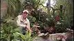 Every Role a Starring Role - Disneyland Jungle Cruise Horticulture Team