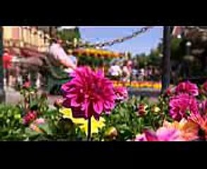 Every Role a Starring Role - Horticulture Planner  Disneyland Resort