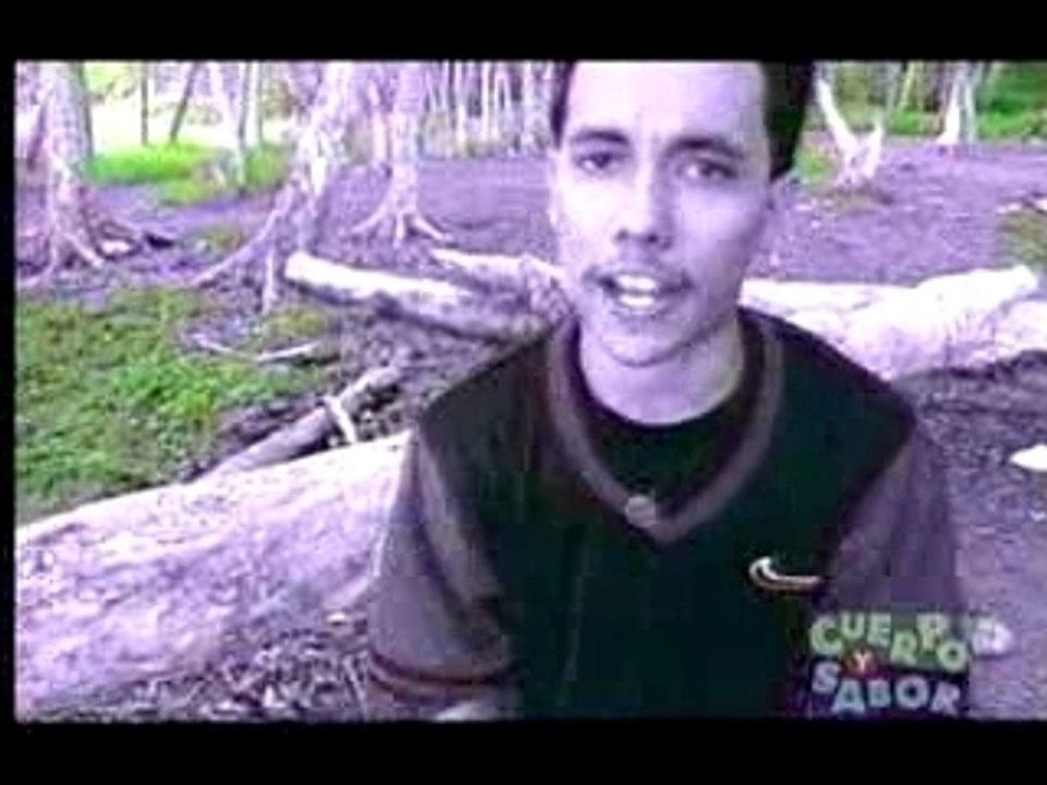 Vico c y big boy - mis ojos lloran por ti