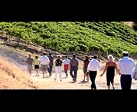 Wine Tasting Room Tips for the Napa Valley