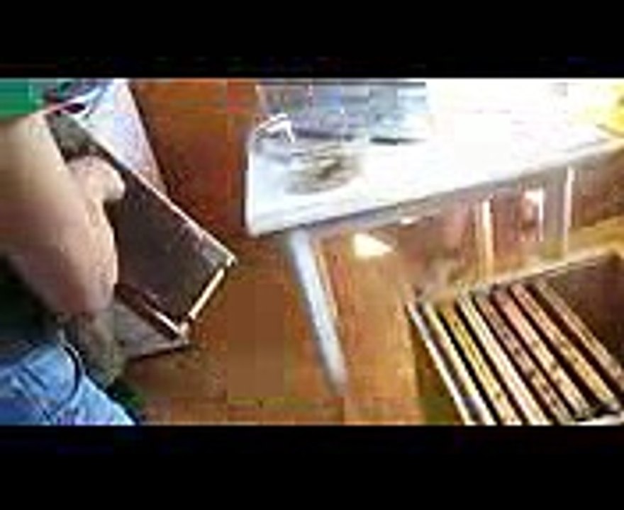 training in beekeeping