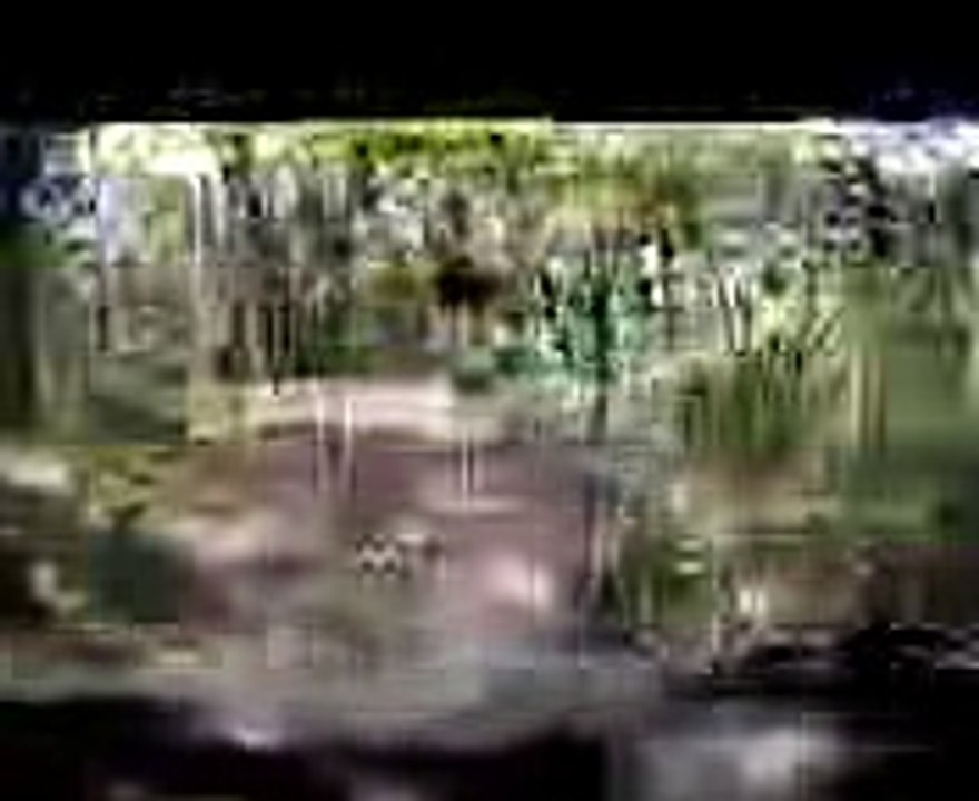 Jeff Lenosky Trail BossMountain Biking Ridgeline Trail Balm Boyette, FL