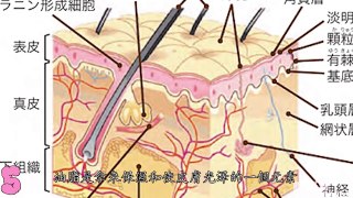 5個我們每天洗澡犯的錯誤