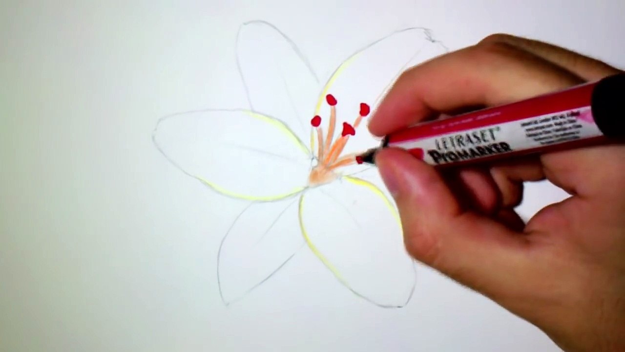 Comment dessiner une fleur de Lys [Tutoriel]n2Kh2kz6714 Video