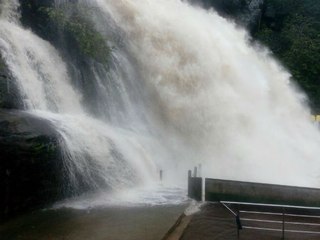 கனமழையால் குற்றாலம் அருவிகளில் வெள்ளம் -வீடியோ