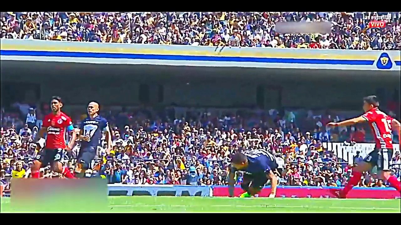 【サッカー】全観客の鳥肌が立った興奮のボレーシュート集！
