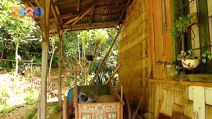 +QN 30 Noviembre 2017