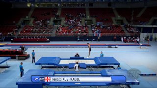 KOSHKADZE Tengizi (GEO) - 2017 Trampoline Worlds, Sofia (BUL) - Qualification Trampoline Routine 2-DGzU33OoOSc