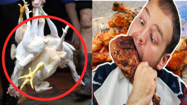 Human Diseases Caused by Chickens | সাবধান! দেখেশুনে মুরগিখান | ভয়াভয় রোগের সম্ভাবনা | Common Diseases Every Chicken | Diseases Caused by Chickens | Common Chicken Illnesses and Treatments | Bangla News | Bangla News Today | Today Bangla News