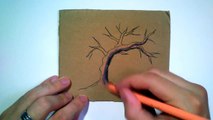 Comment dessiner un Cerisier Japonais [Tutoriel]-fF4jy-DJlPU