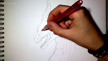 Comment dessiner une tête de Dragon [Tutoriel]-fxYDSohlM1w