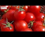 7 Health Tips in Hindi - Tomato Benefits With Natural Health Tips In Hindi- टमाटर के फायदे By Sachin
