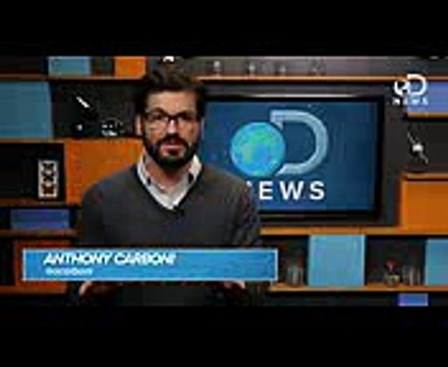 Your Cat Doesn't Care About You