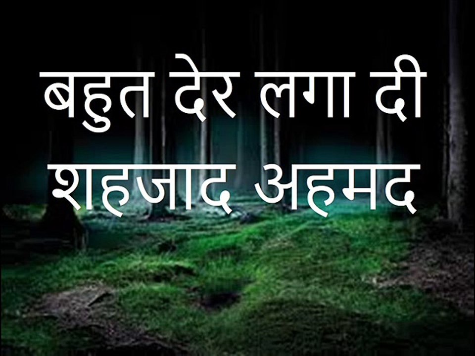 बहुत देर लगा दी: शहजाद अहमद