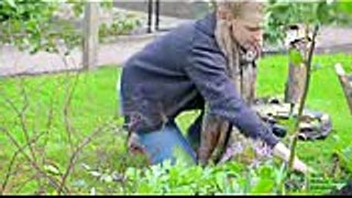 RBGE HNDBSc Horticulture with Plantsmanship