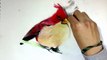 Realistic Angry Birds  Drawing and tutorial (simple) vf-RYF13Fm_Lh4