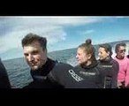 Byron Bay Scuba Diving - Julian Rocks, NSW