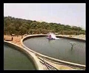 Desert aquaculture (Intensive culture of Nile tilapia in integration with horticulture in Egypt)