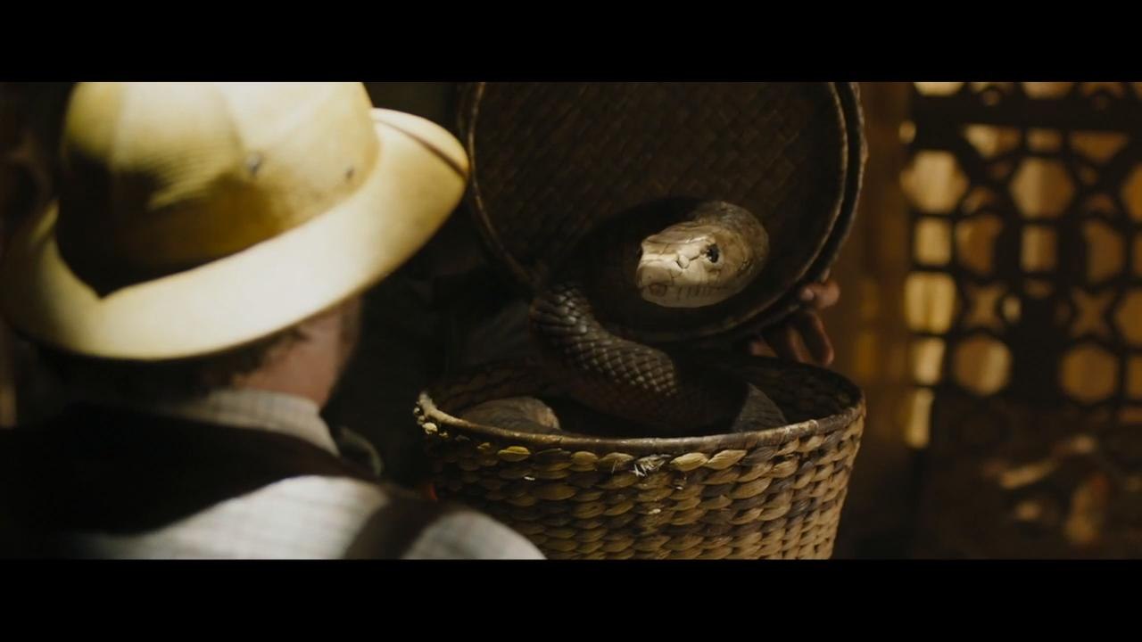A Funny Staring Contest In 'Jumanji'