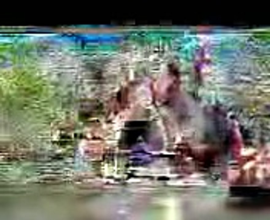 FULL BODY WORKOUT - How to Build and Gain Muscle Fast - Compound Movements (Big Brandon Carter)