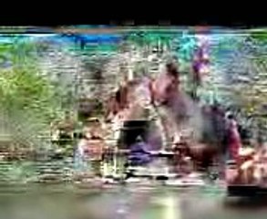 FULL BODY WORKOUT - How to Build and Gain Muscle Fast - Compound Movements (Big Brandon Carter)