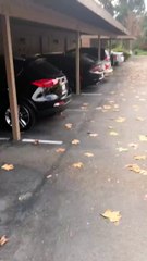 Del Mar, California UFO sighting 2017