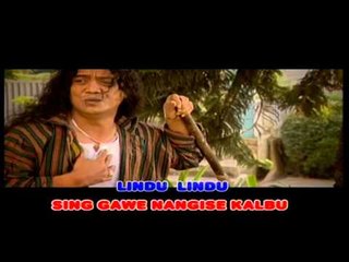 DIDI KEMPOT - LINDU