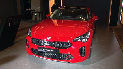 [기업] 기아차 스팅어 '2018 북미 올해의 차' 최종후보 선정 / YTN